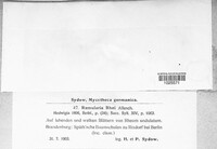Image Associated With the Occurence